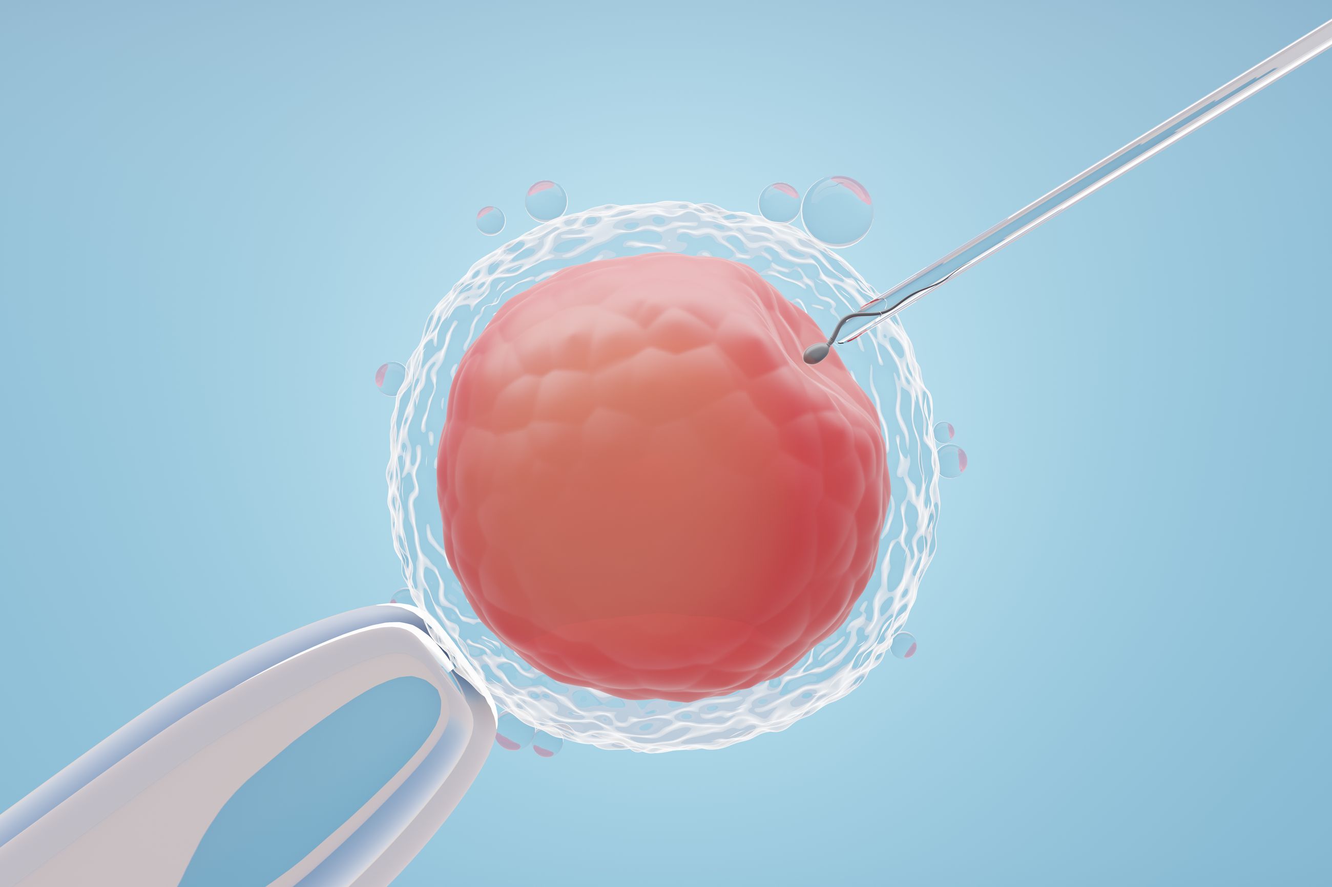 3D illustration of an egg cell fertilization procedure, representing the IVF process and cost breakdown explained by EggFund.