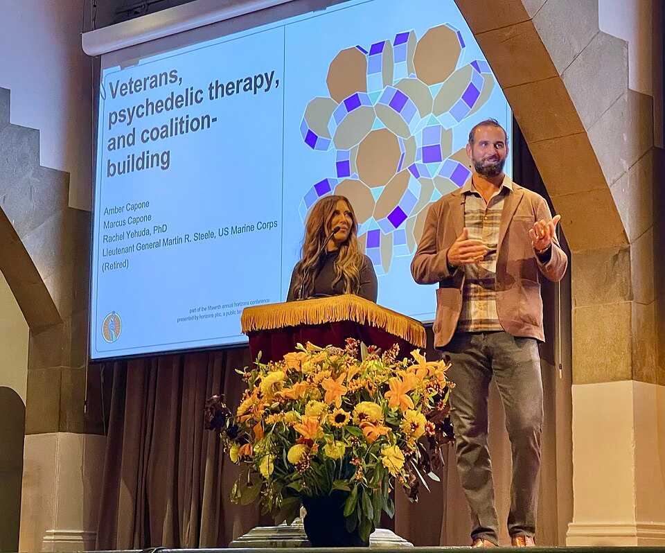 Veterans and Psychedelic Therapy