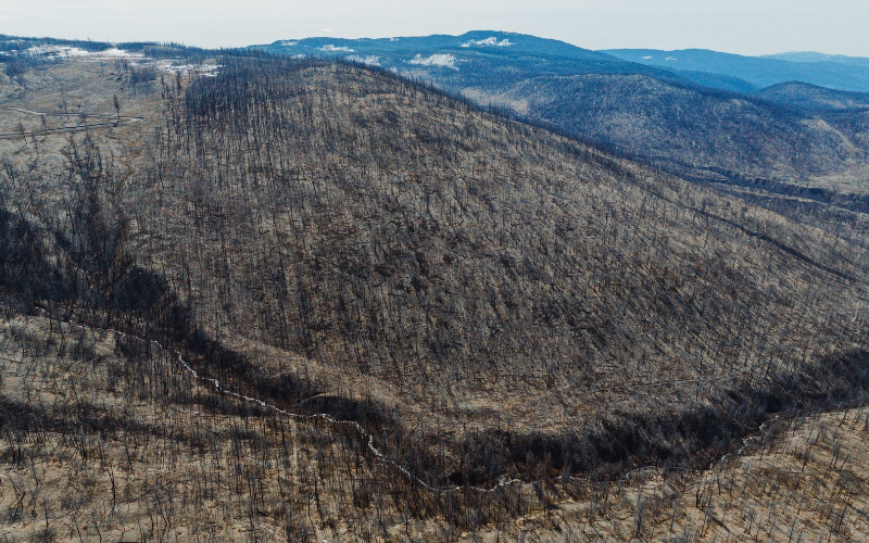 Drone footage of Nicola Valley river passing through post-wildfire forest