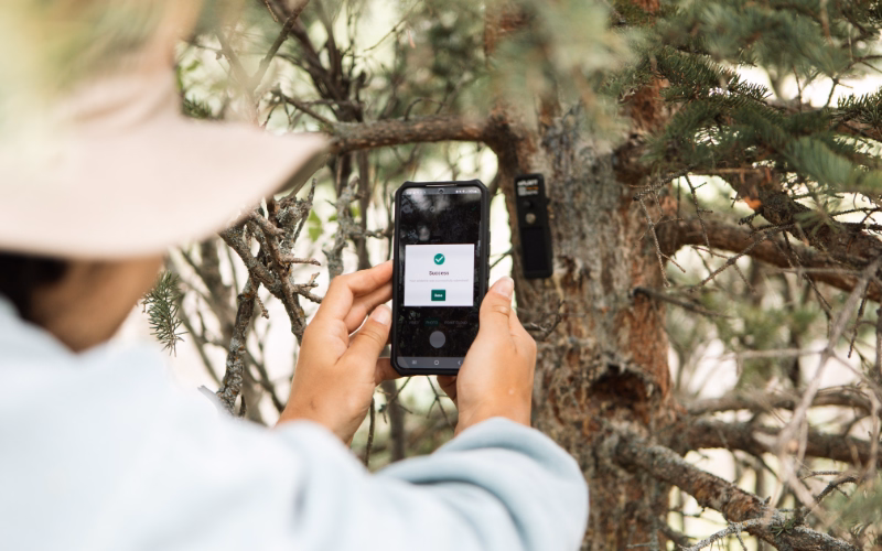 A planter holding a phone next to tech sensors to verify tree planting efforts using veritree's technology