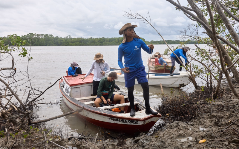 Planters arrive on boat to coastal restoration area in Brazil. 