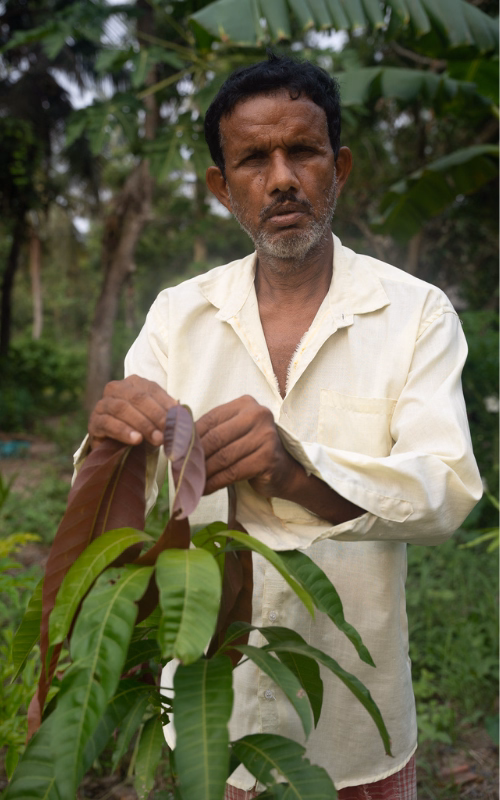 A farmer in off-white clothing holding tree saplings.