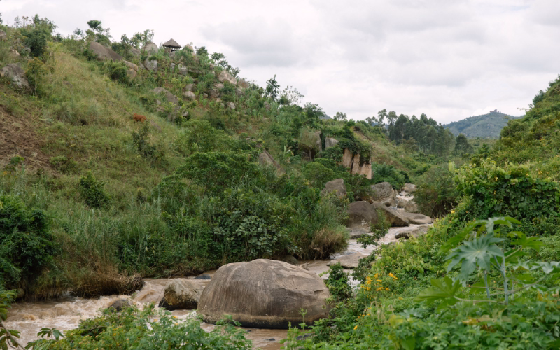 A river running through a rocky, forested hillside in Old Bonjoge, Kenya.