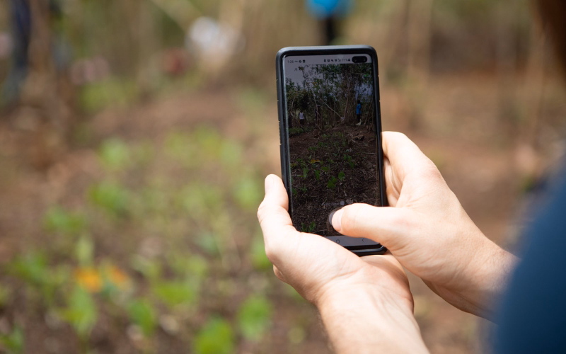 Hands holding a smartphone displaying the veritree App over a freshly planted area in Old Bonjoge Forest.