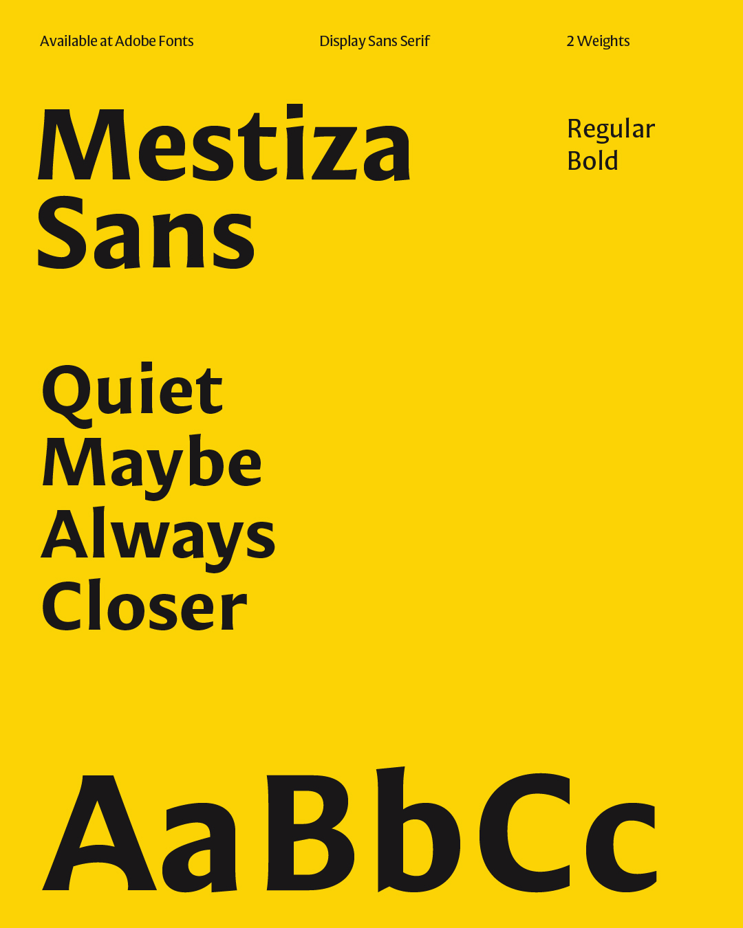 Mestiza Sans font card