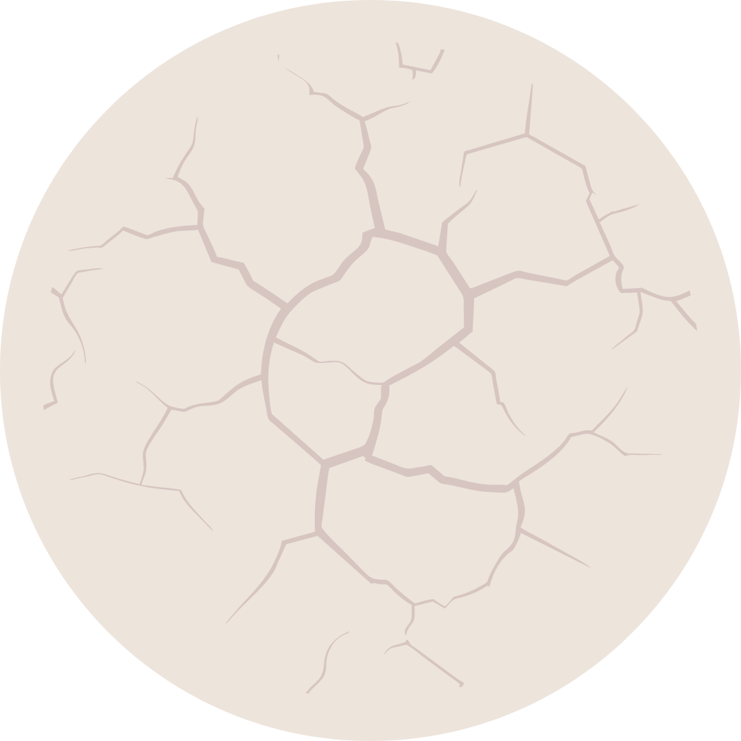 Fact Icon
