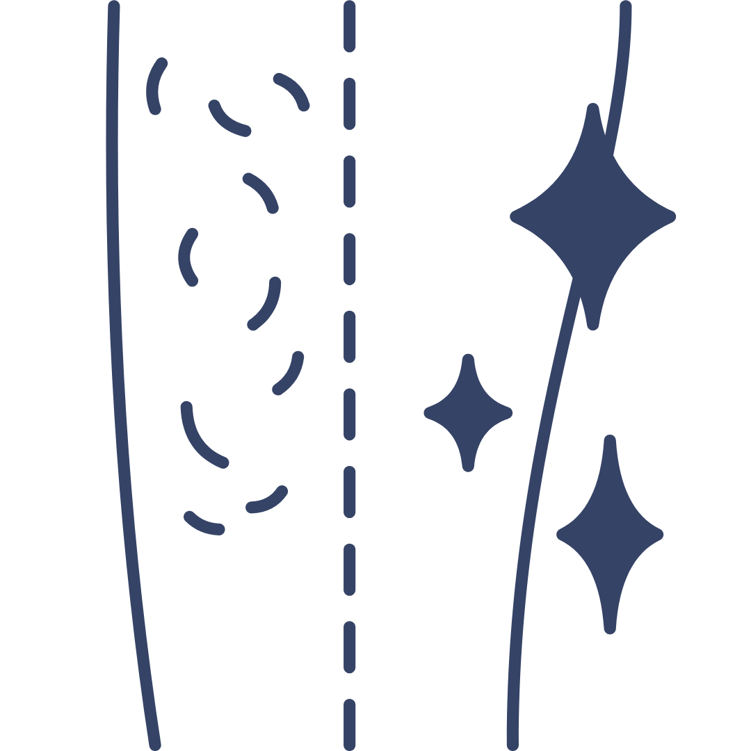 Fact Icon
