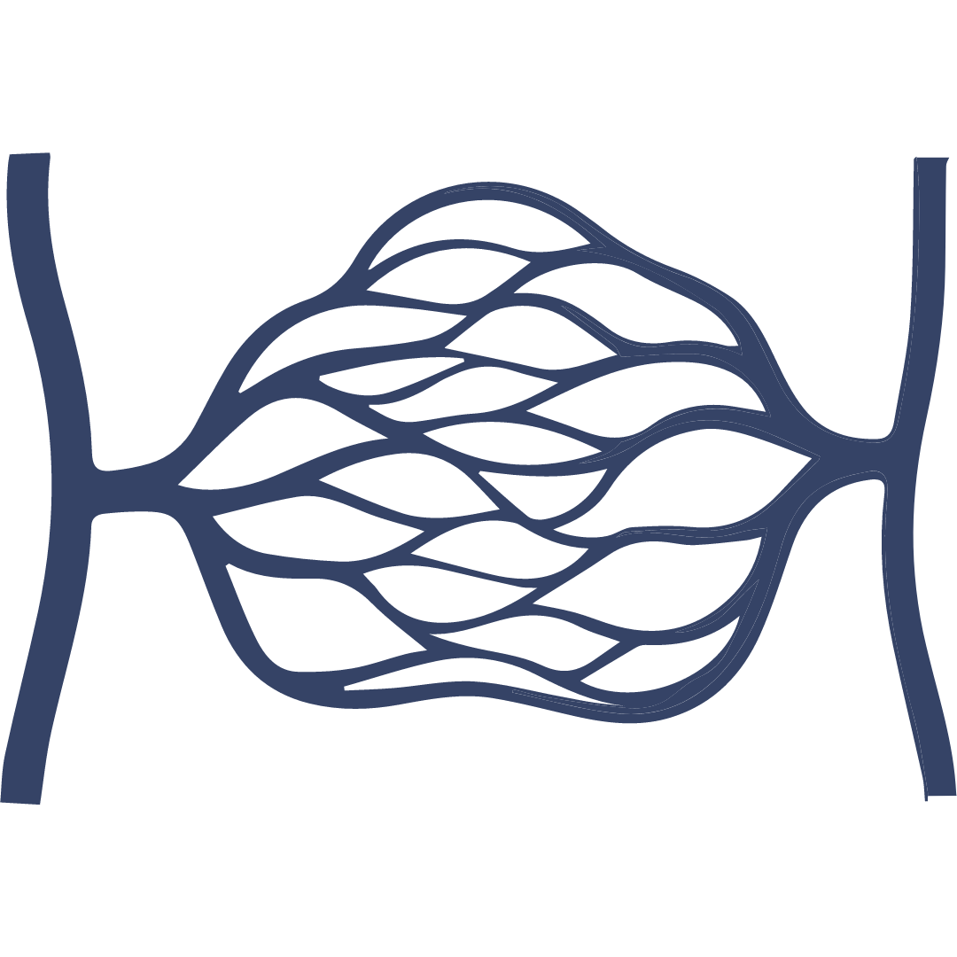 Fact Icon