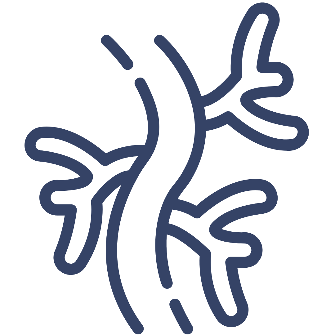 Fact Icon