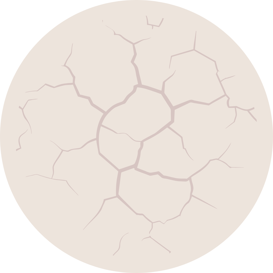 Fact Icon