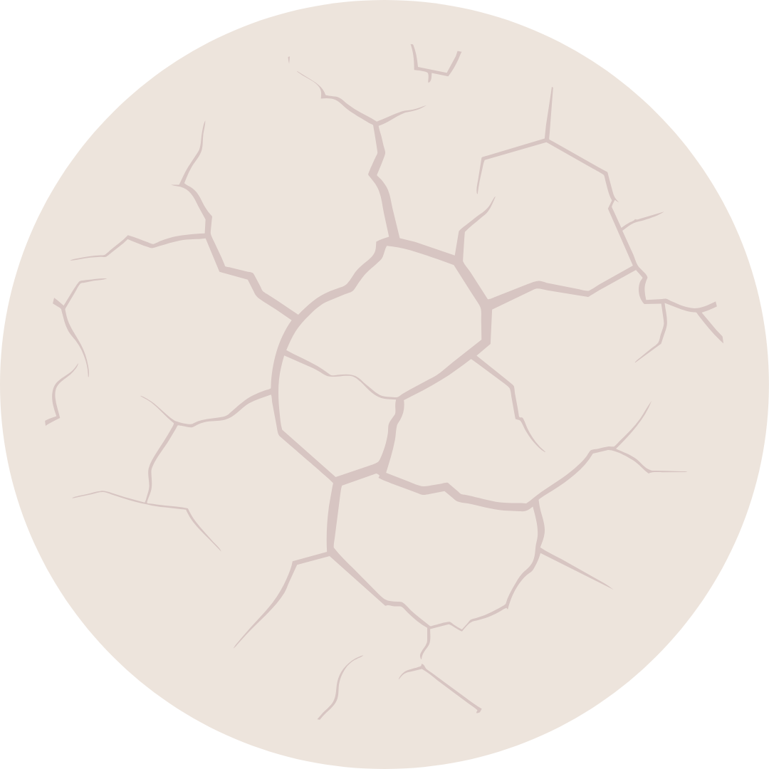 Fact Icon