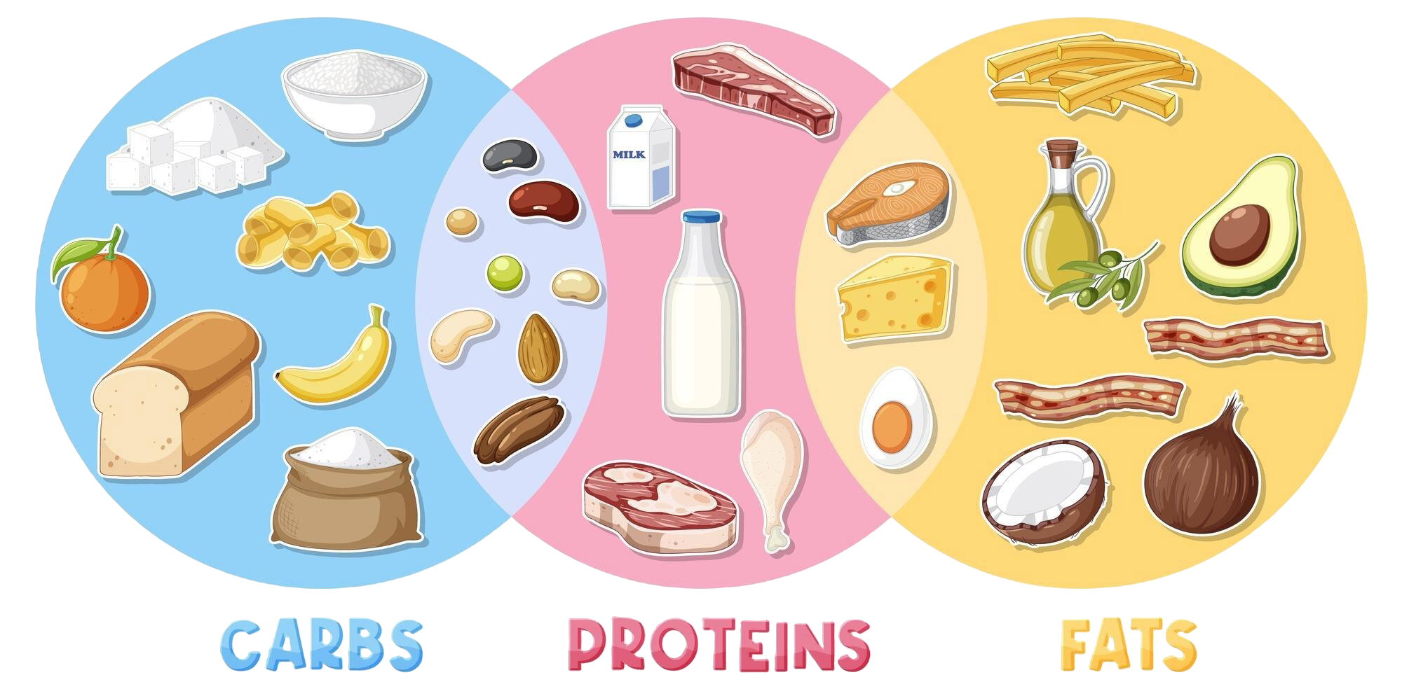 Imagem de alimentos para incluir na dieta de macros 50 25 25