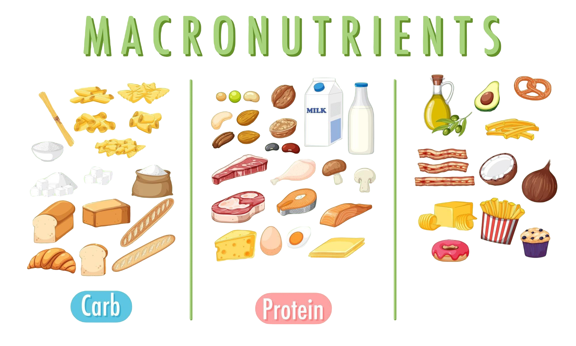 Makronährstoff ideales Verhältnis für mediterrane Diät Bild