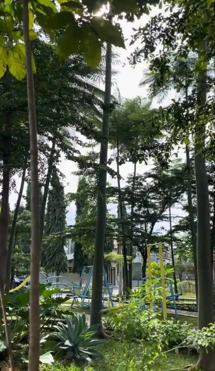 Rumah Gen Z Dekat Alam 