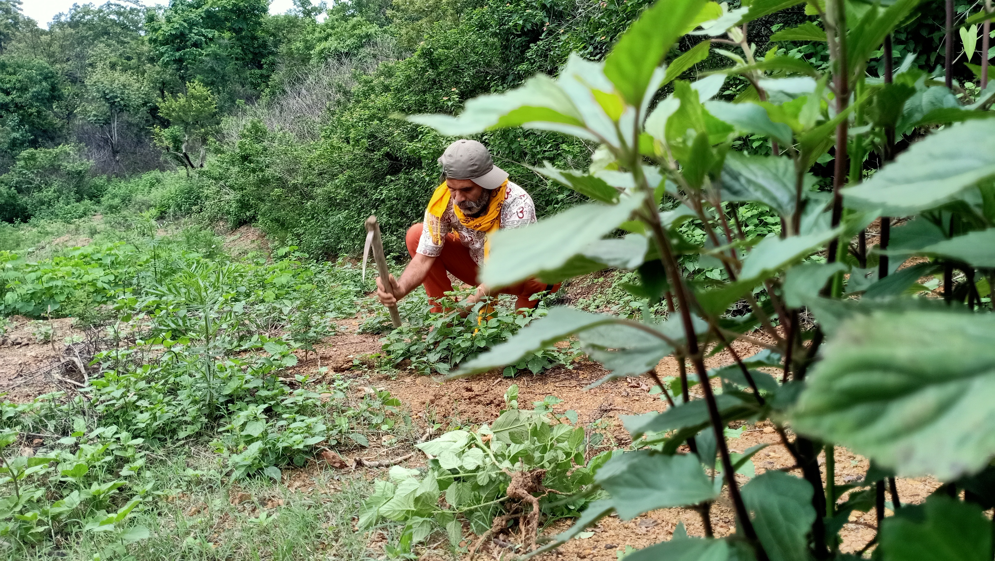 Denny thomas chempazha, denny amrithagiri