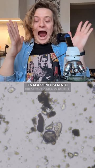 Okładka rolki: Niesporczak Pimpek - superbohater z mchu! Podoba wam się?