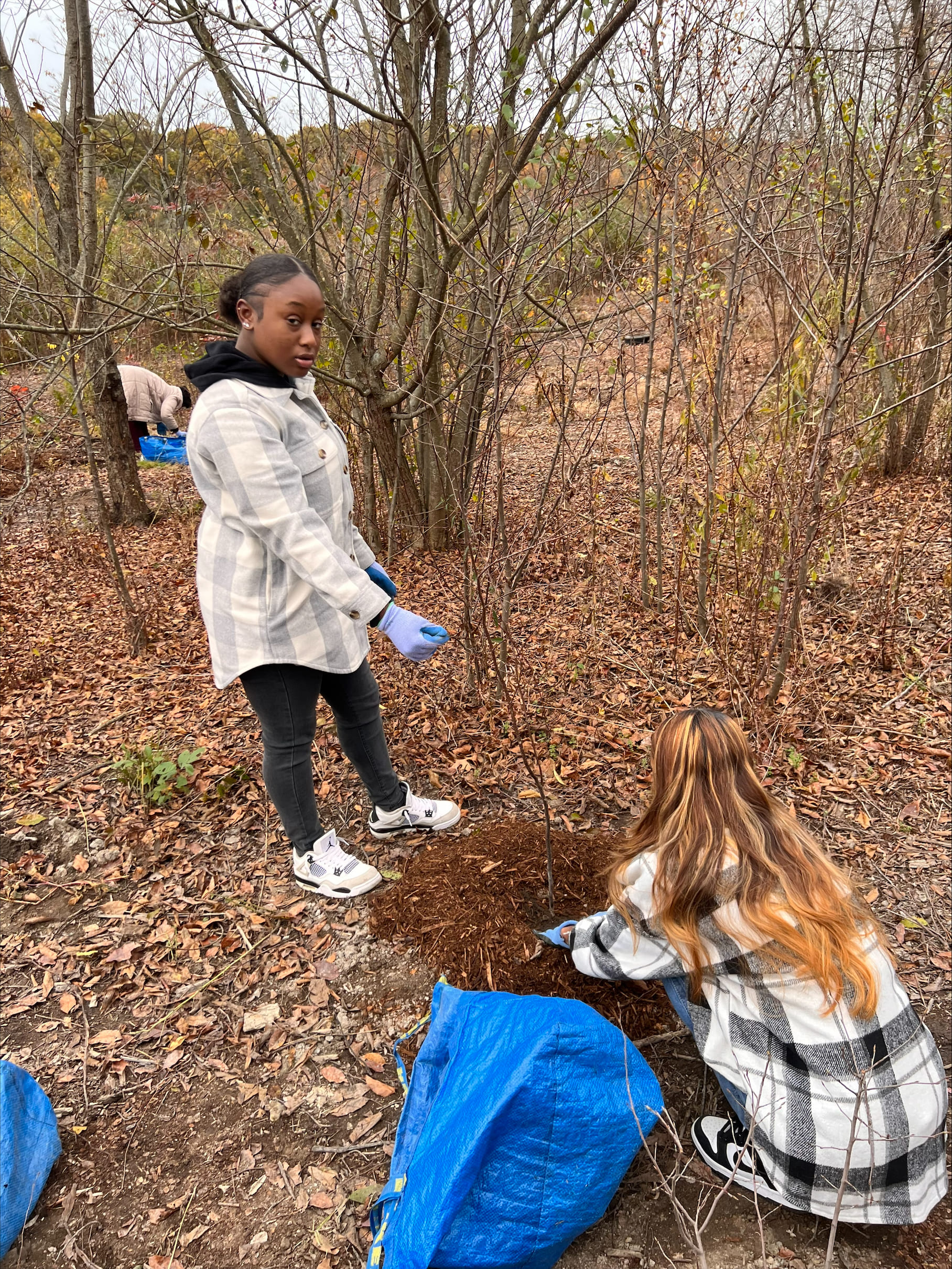 Students planting trees during outdoor environmental service project