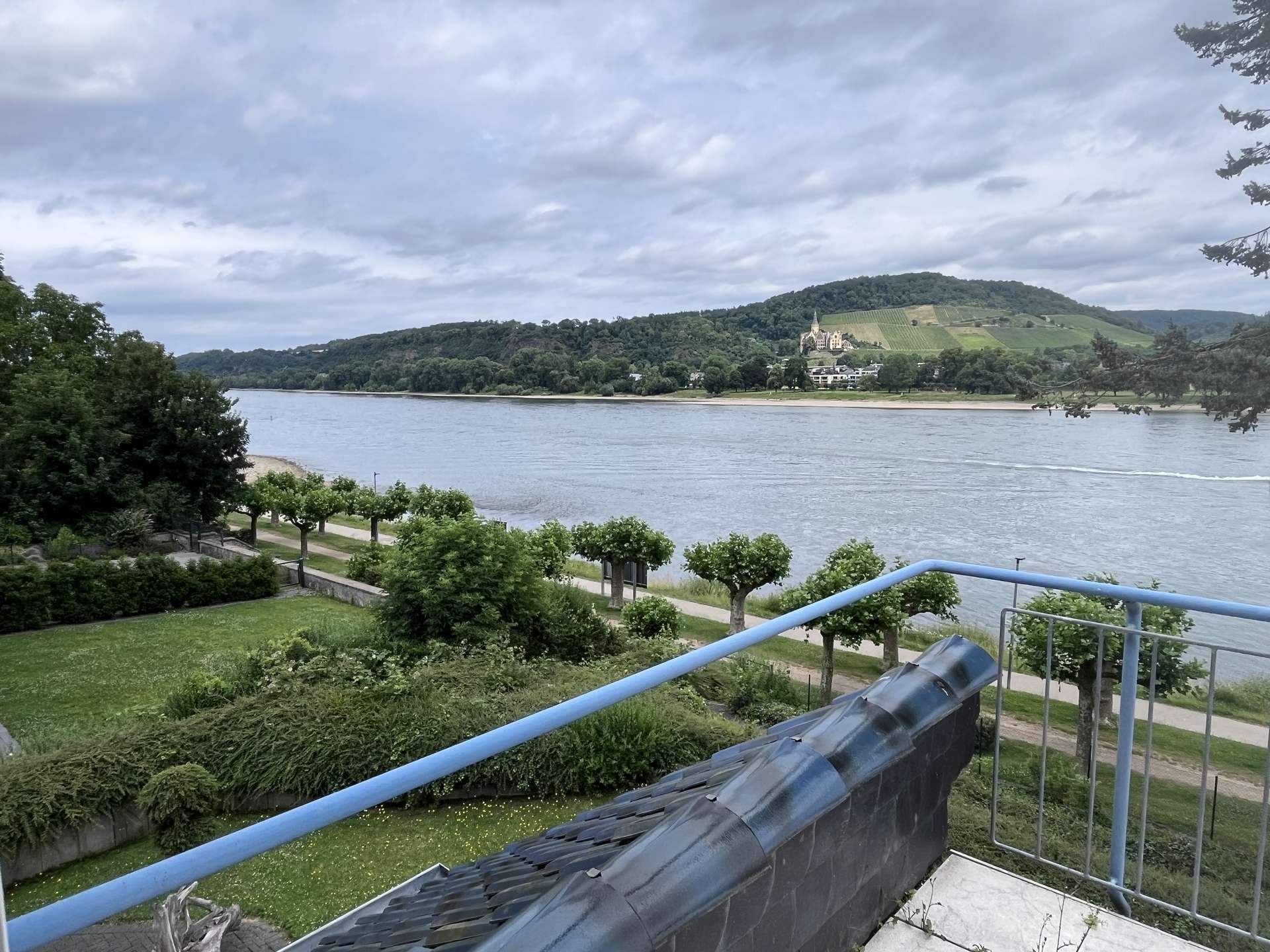 Rheinblick