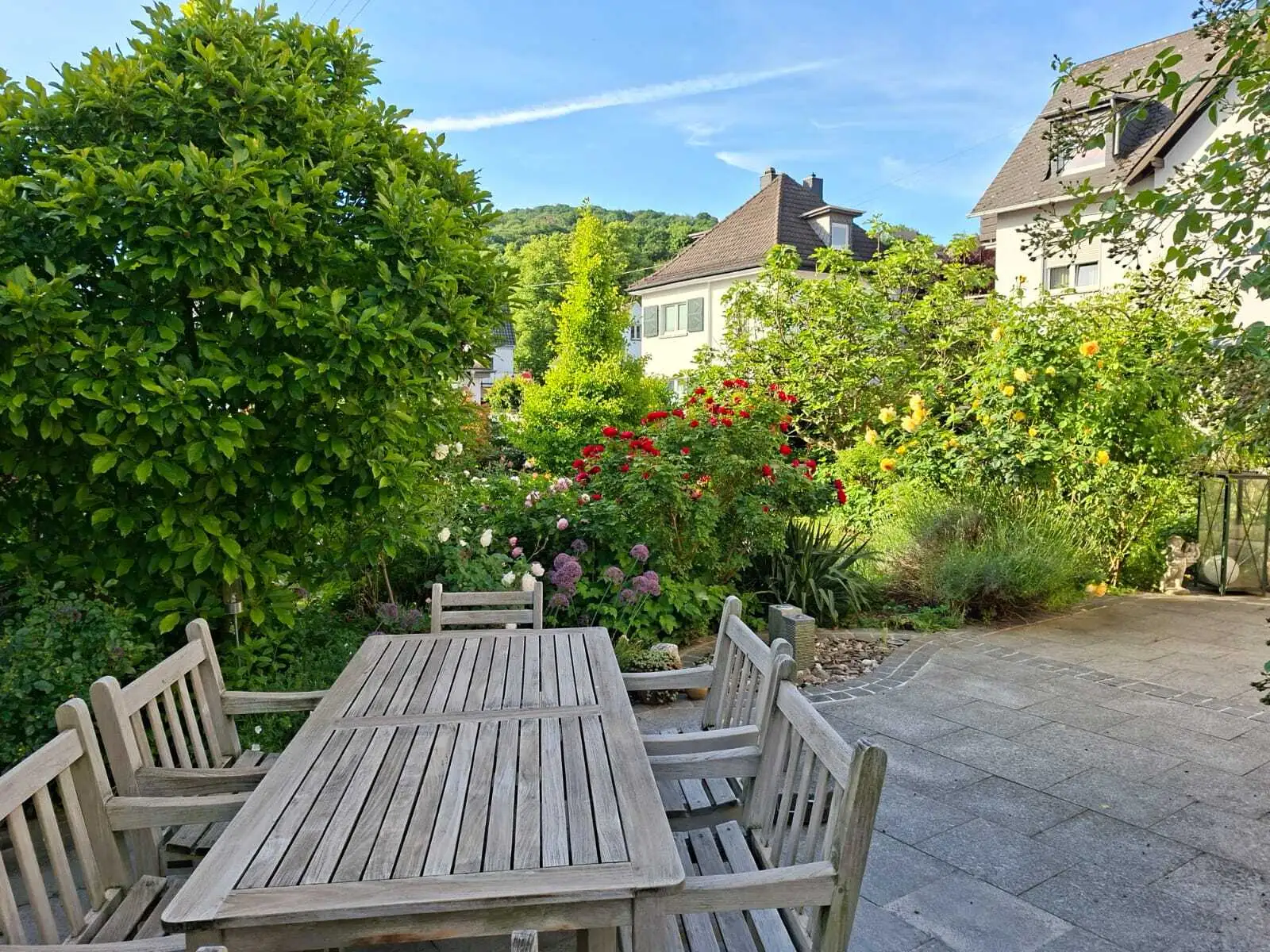 Blick in den erblühten Garten