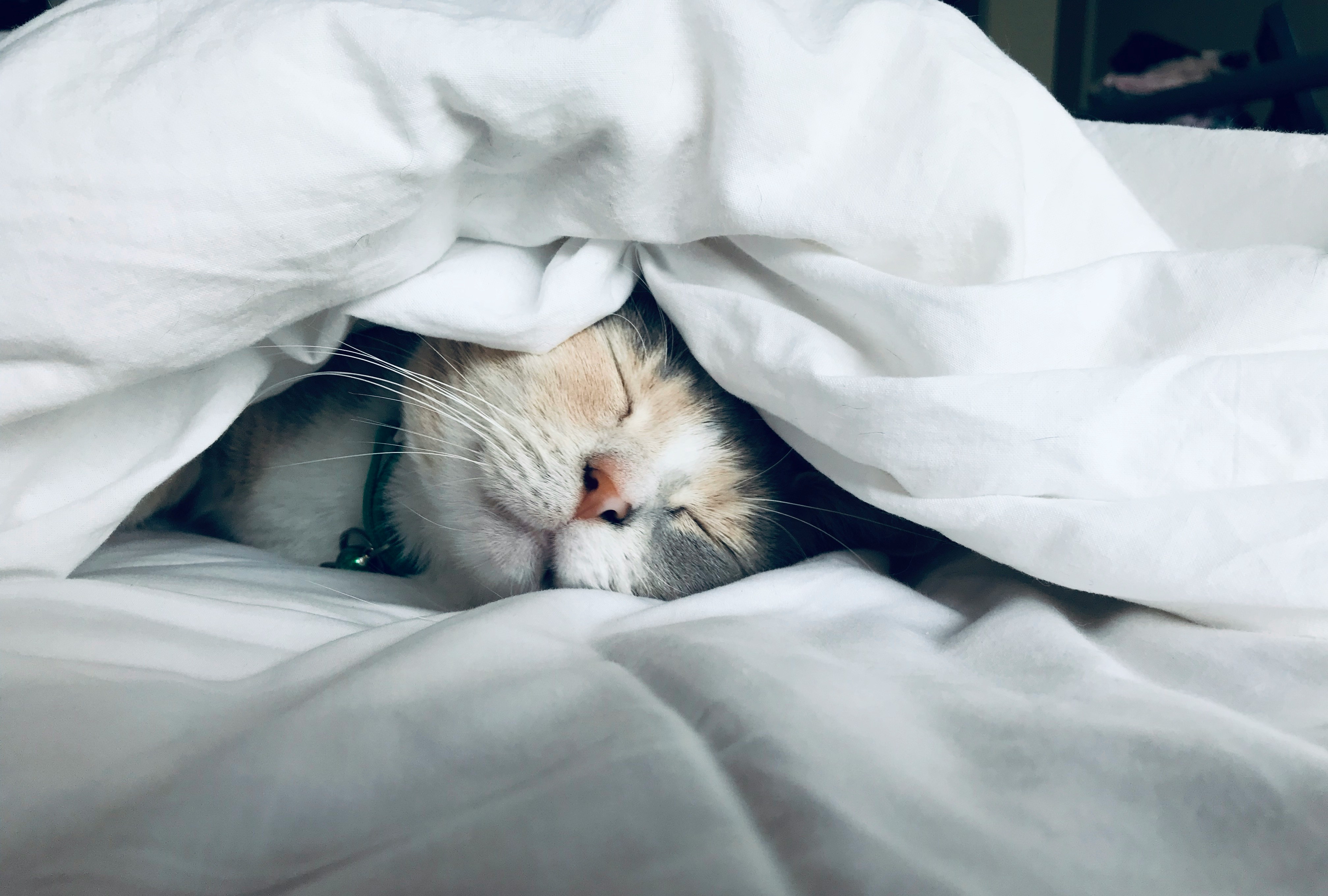 If You Didn't Get Sleep, Should You Work Out? 