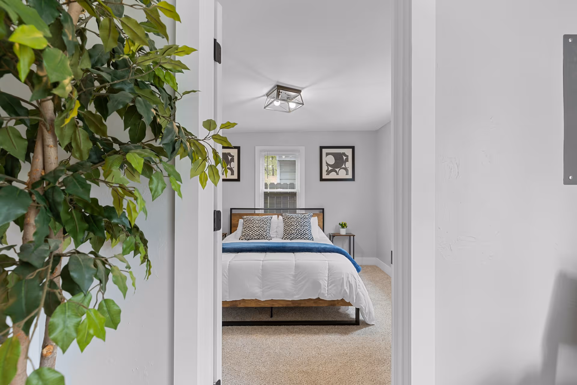 Bedroom with Bed and Plant