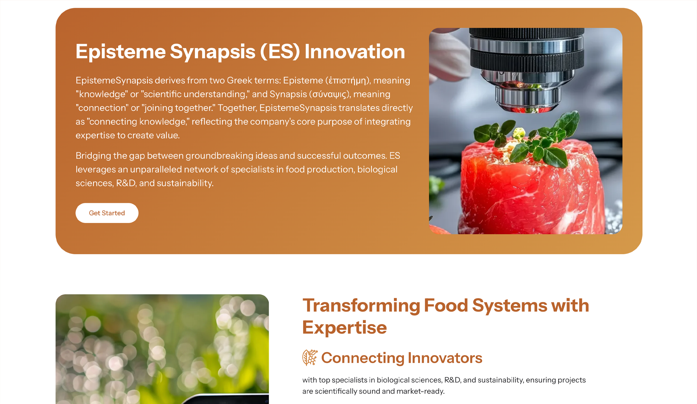 EpistemeSynapsis