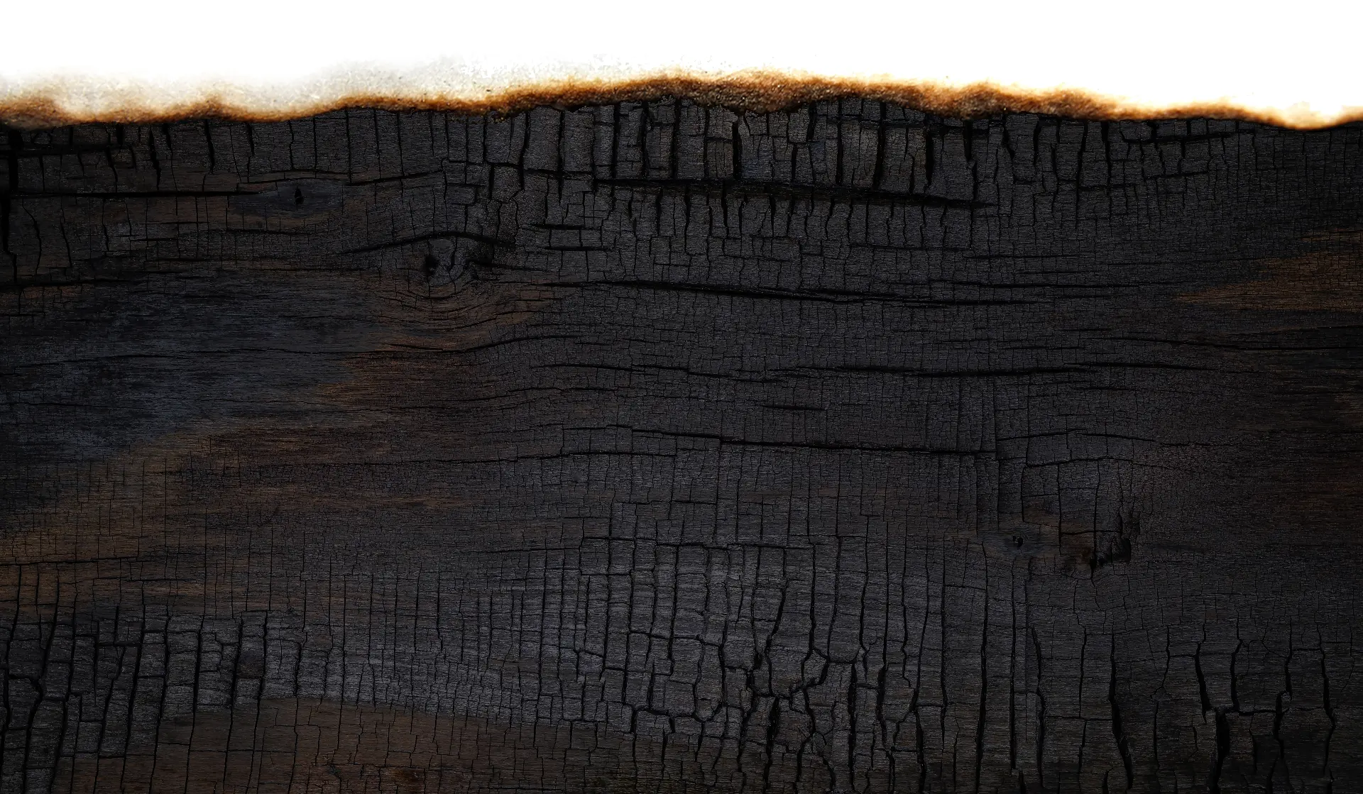 Close-up of black burnt wood with cracked texture and charred edges against a white background.