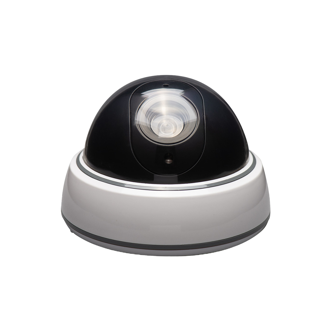Sabre Face Dome Security Camera