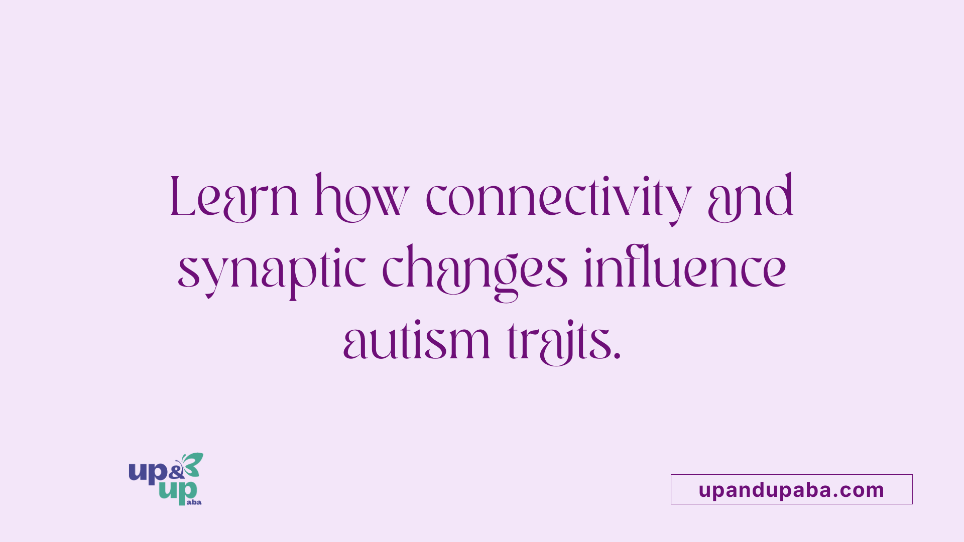 Learn how connectivity and synaptic changes influence autism traits.