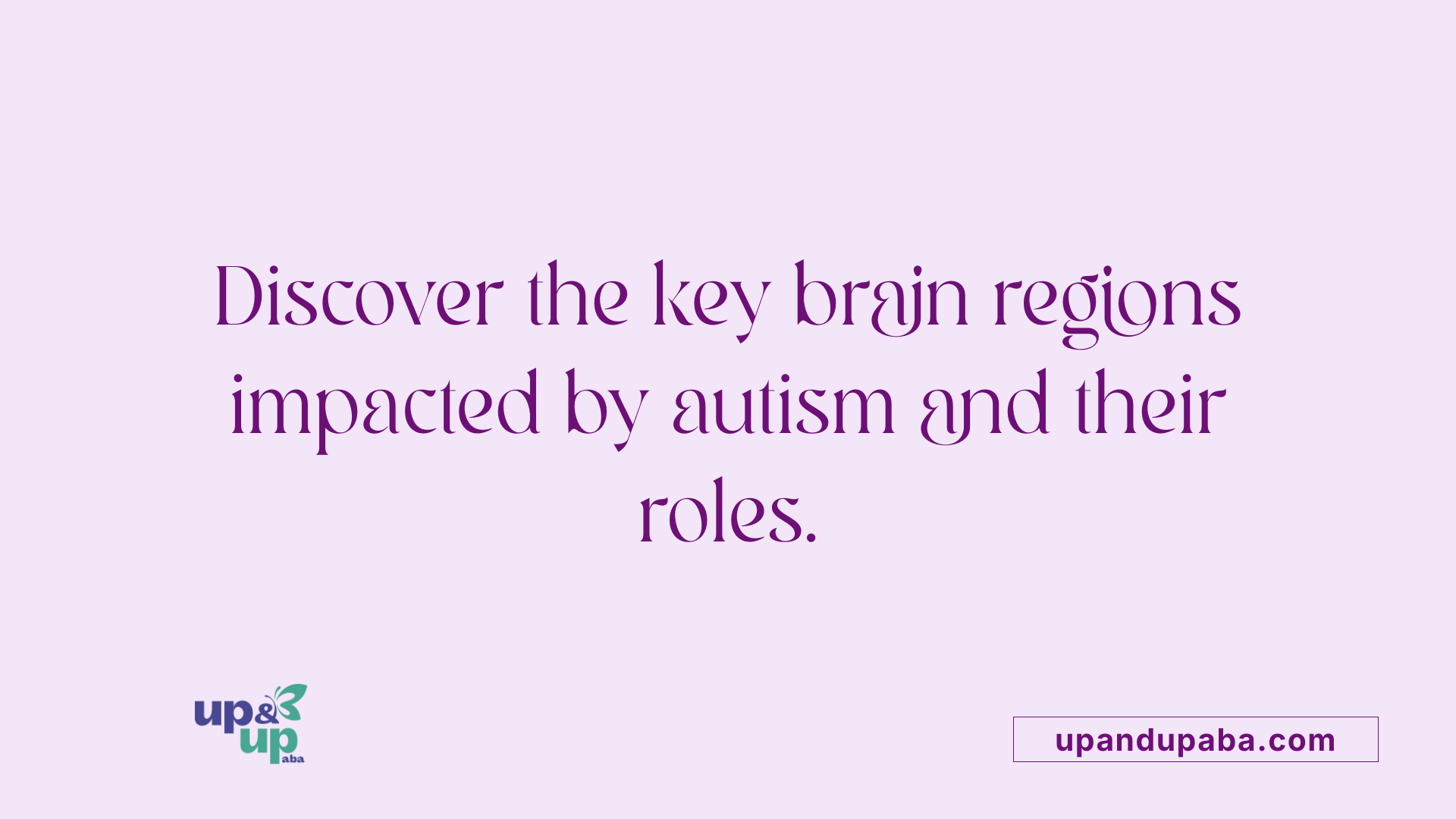 Discover the key brain regions impacted by autism and their roles.