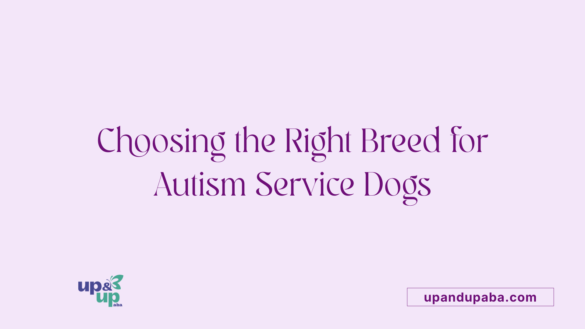 Choosing the Right Breed for Autism Service Dogs