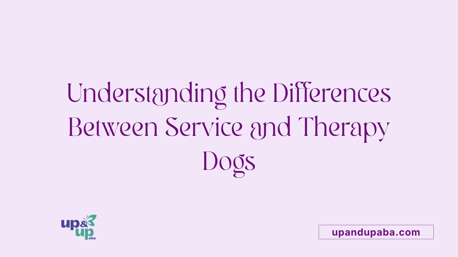 Understanding the Differences Between Service and Therapy Dogs