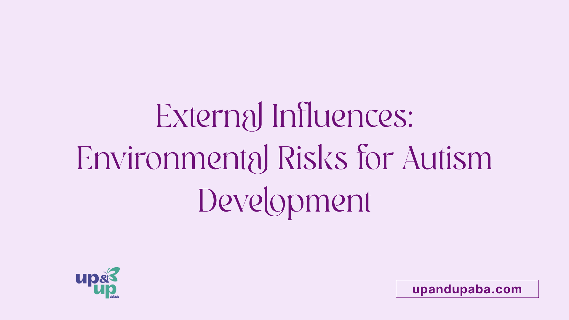 External Influences: Environmental Risks for Autism Development