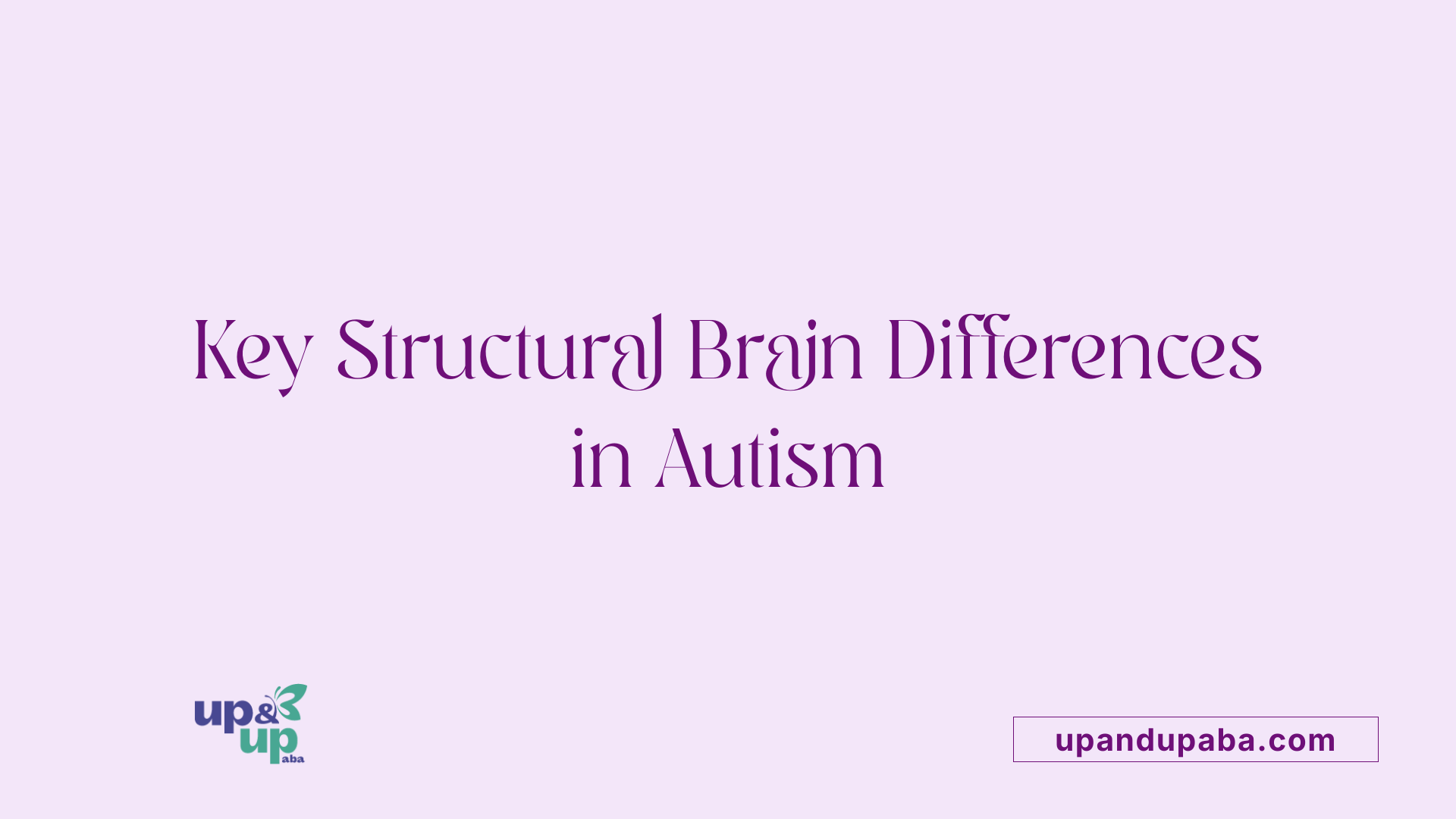 Key Structural Brain Differences in Autism