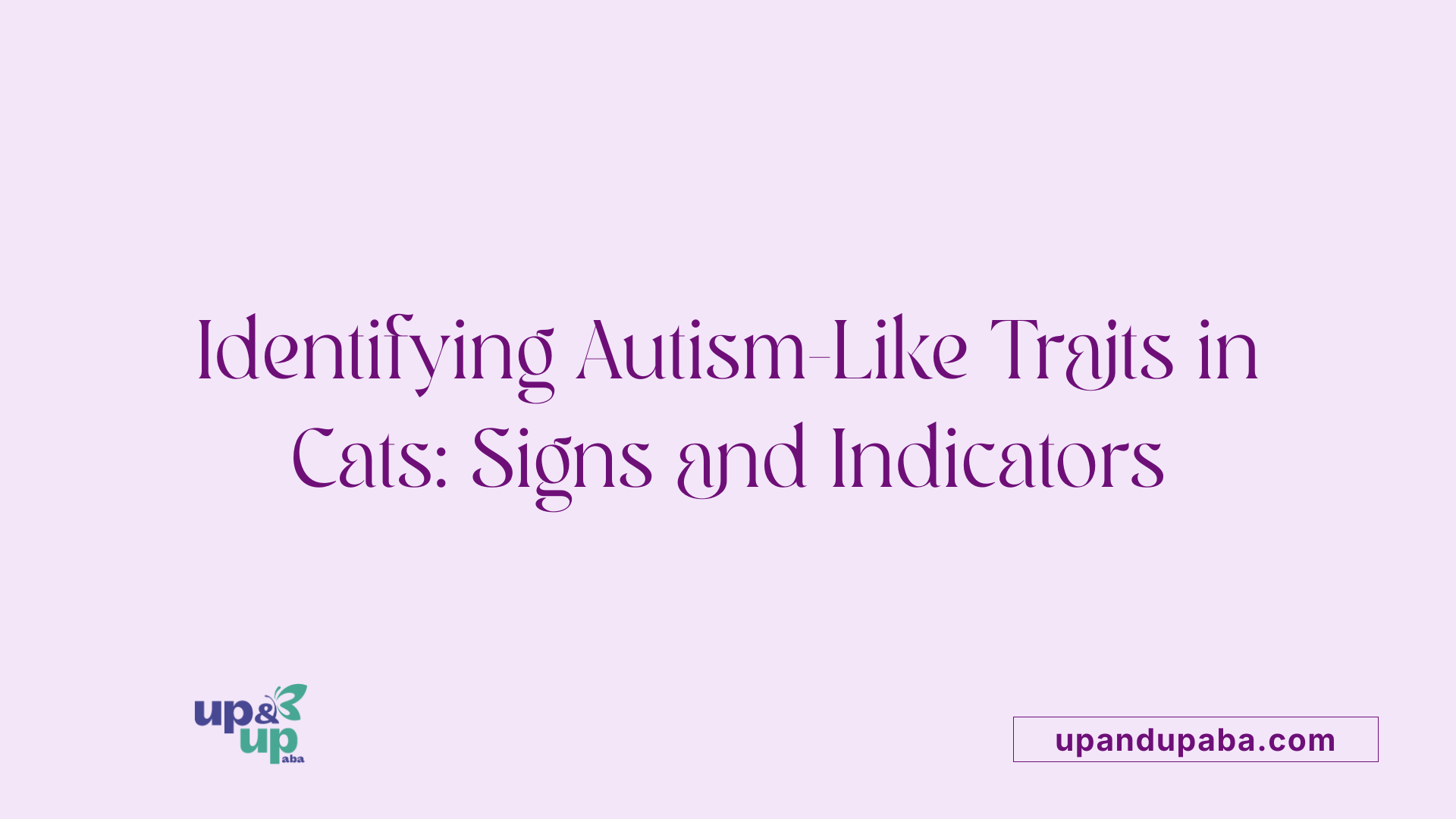 Identifying Autism-Like Traits in Cats: Signs and Indicators