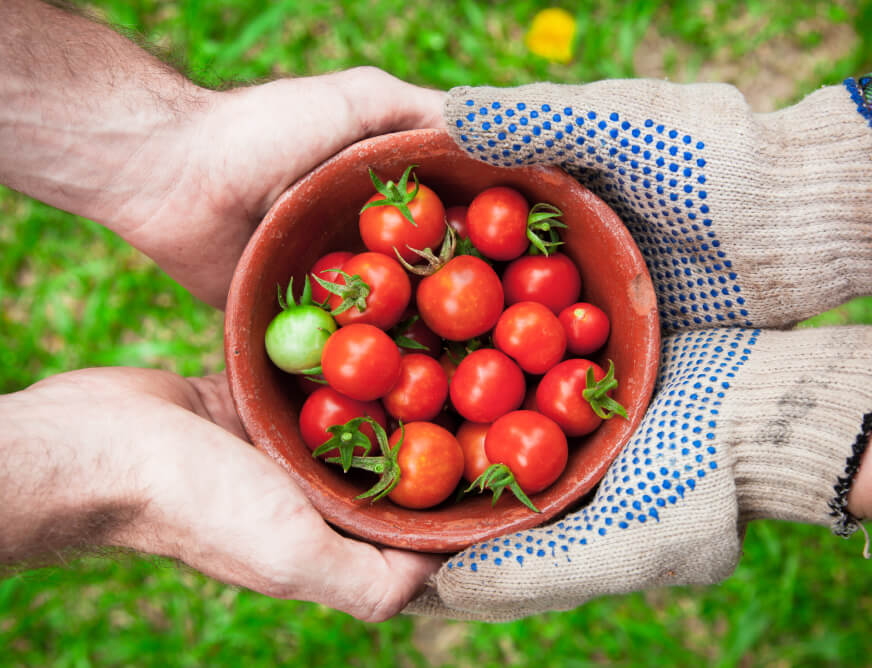 About Gallery - Farm Webflow Template