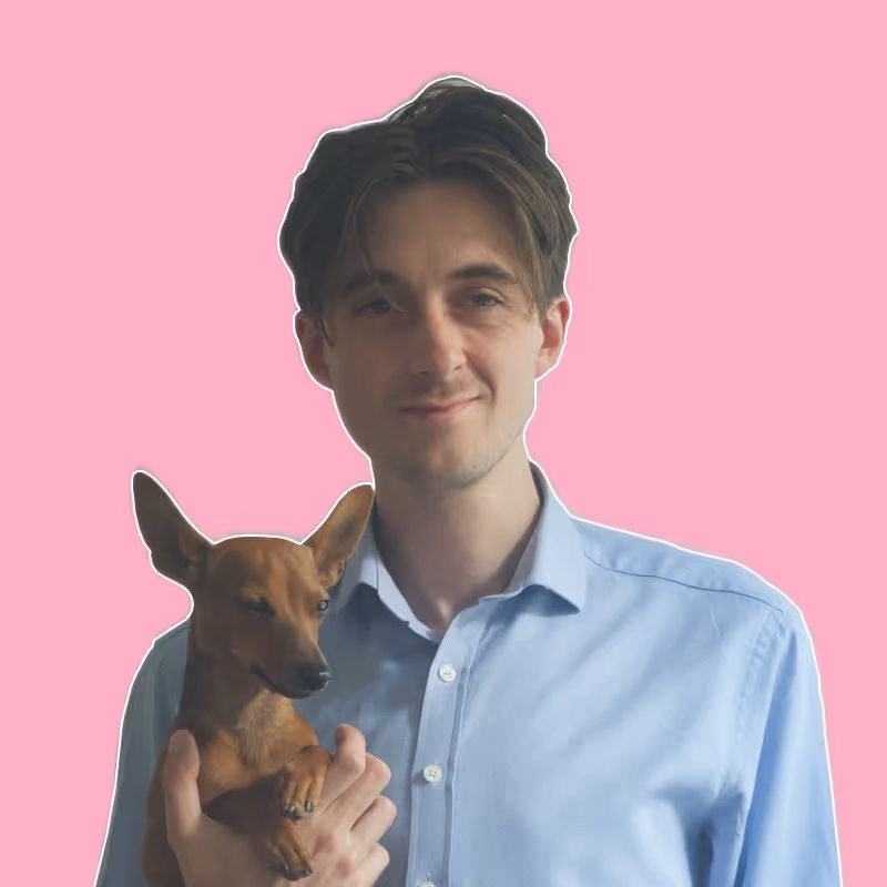 Jules Varnier, Founder at Dogy App, uses SalesMind AI sales prospecting tools to find clients for his freelancing and entrepreneurial ventures.