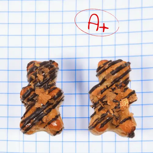 Deux oursons au coeur praliné posés sur une feuille de papier, avec la note A+ écrite à côté