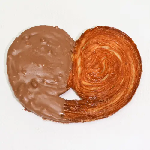 Notre « palmier rocher » sur fond blanc