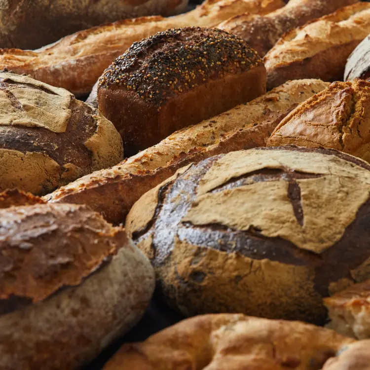 Zoom sur plusieurs pains de notre gamme pris en photo de haut