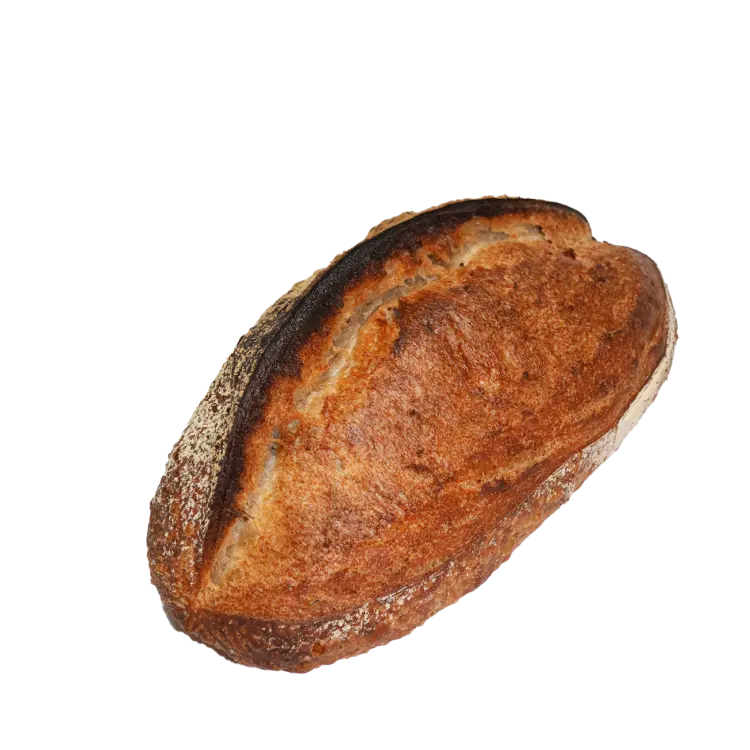 Pain de campagne sur fond blanc