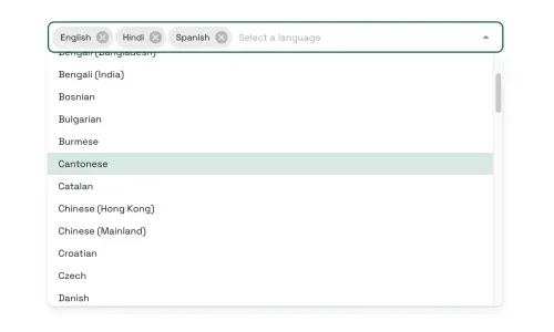 Multilingual Support