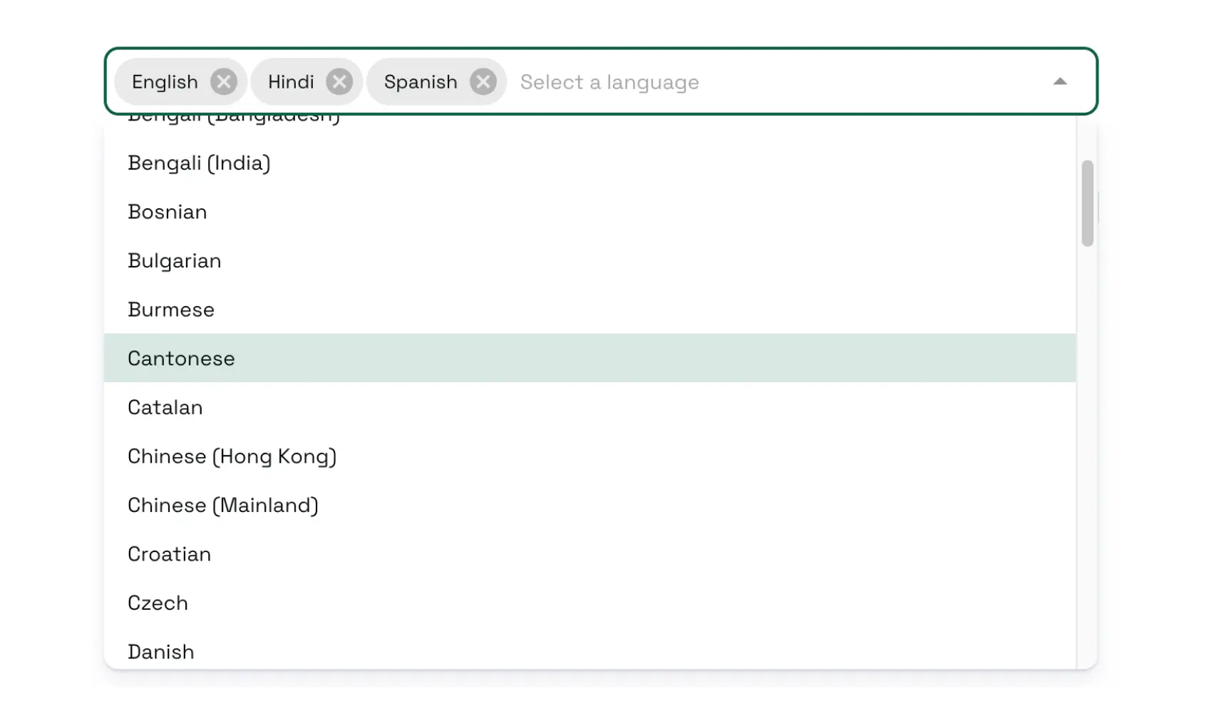 Multilingual Support