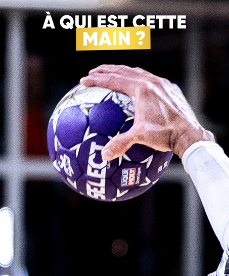 Ligue Nationale de Handball - image terrain du projet 2