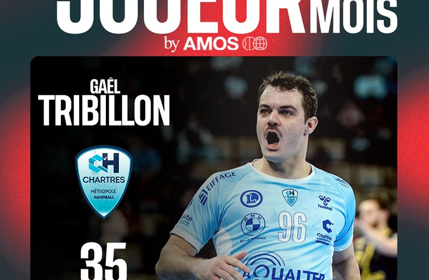 Ligue Nationale de Handball - image terrain du projet 1