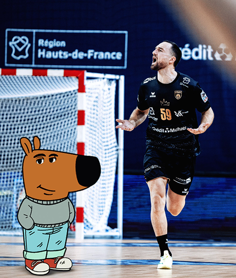 Ligue Nationale de Handball - image terrain du projet 3
