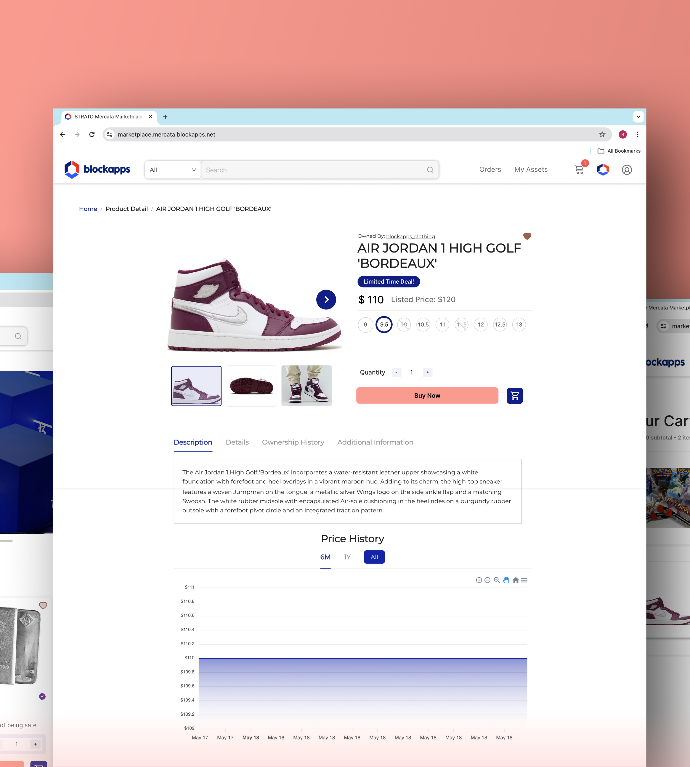 Final Wireframes of Make My Test Count