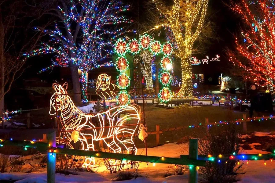 ZooLights at Hogle Zoo 