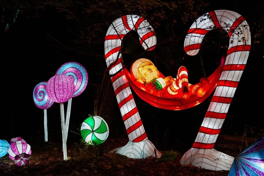 Wild Illuminations - Pittsburgh, PA