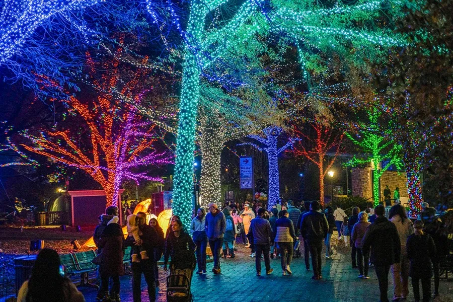 ZooLights at Smithsonian National Zoo - Washington, DC 